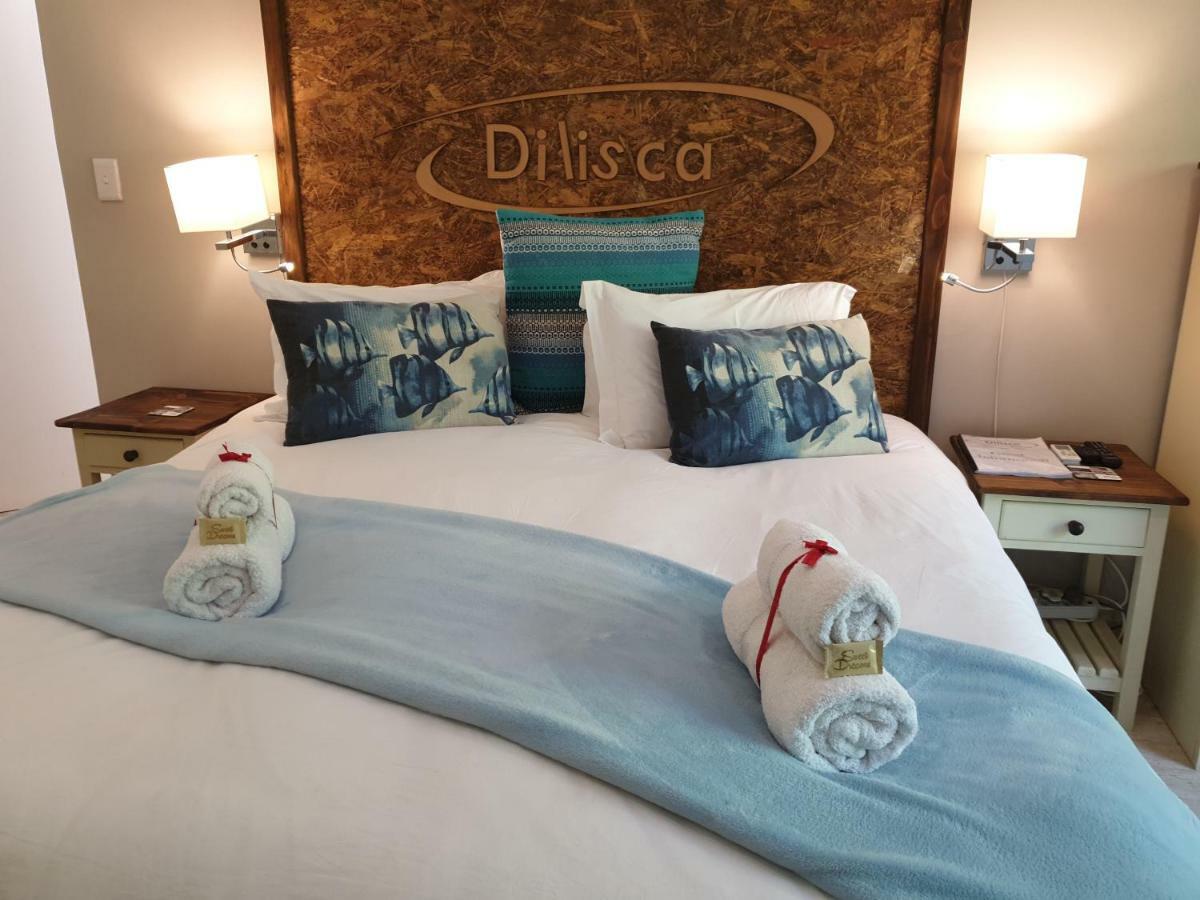 Dilisca Guesthouse دوربانفيل المظهر الخارجي الصورة